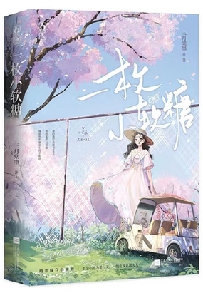 一枚小软糖在线阅读