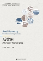 反貧困：理論前沿與創新實踐在線閱讀