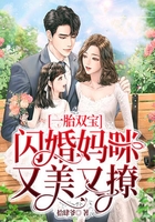 一胎雙寶，閃婚媽咪又美又撩在線閱讀
