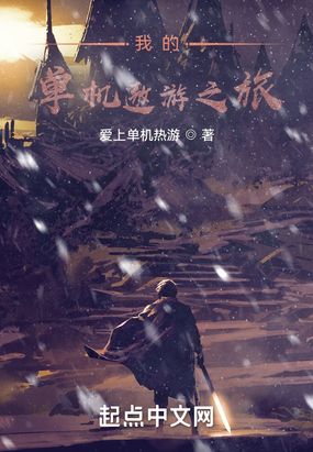 我的单机遨游之旅在线阅读