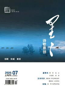 星星·诗歌原创（2020年第7期）