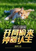 旅行猫猫：开局偷来神器认主