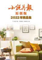 小说月报原创版2022年精品集在线阅读