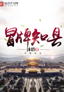 冒牌知县在线阅读