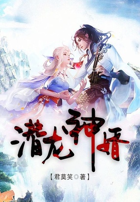 潜龙神婿在线阅读