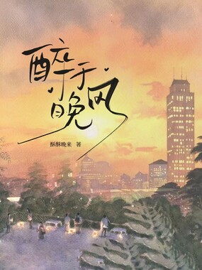 醉于晚风在线阅读