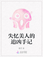 失忆美人的追凶手记在线阅读