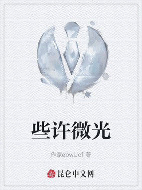 些许微光在线阅读