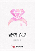 黃貓手記在線閱讀