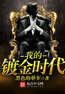 我的镀金时代在线阅读