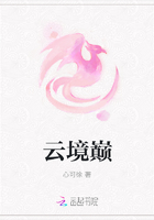 云境巔在線閱讀