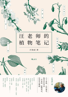 汪老师的植物笔记