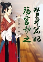 殤宮劫之替身寵妃在線閱讀