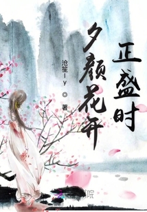 夕顏花開正盛時