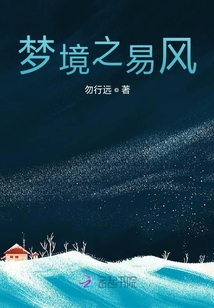 夢境之易風