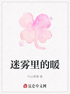 迷雾里的暖在线阅读