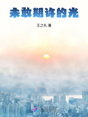 未敢期许的光在线阅读