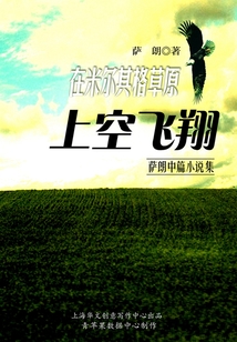 在米爾其格草原上空飛翔（薩朗中篇小說集）