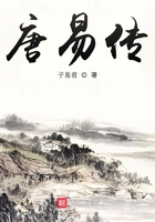 唐易傳在線閱讀