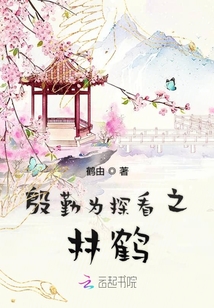 殷勤為探看之林鶴