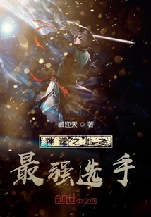 神逆之地之最強選手