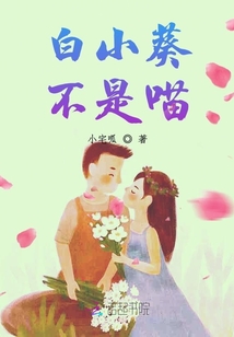 白小葵不是喵