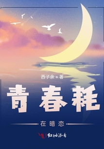 青春耗在暗戀