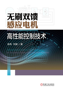 無刷雙饋感應電機高性能控制技術