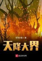 天降大界在線閱讀