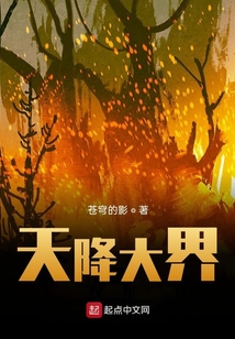 天降大界