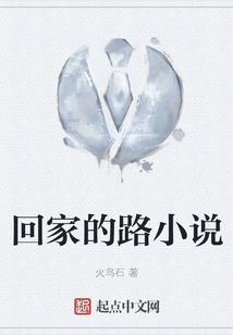 回家的路小說(shuō)