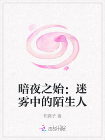 暗夜之始：迷霧中的陌生人