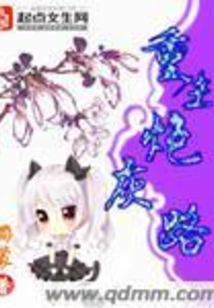 重生炮灰路