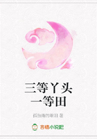三等丫頭一等田在線閱讀