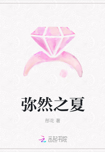 弥然之夏