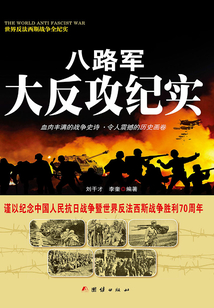 八路軍大反攻紀實