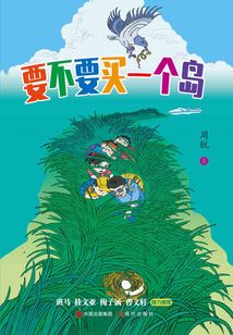 要不要買一個島