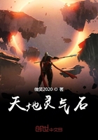 天地靈氣石在線閱讀