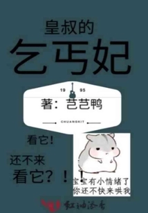 皇叔的乞丐妃