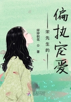 宋先生的偏执宠爱在线阅读