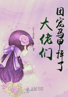 大佬们团宠马甲掉了在线阅读