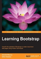 Learning Bootstrap在线阅读