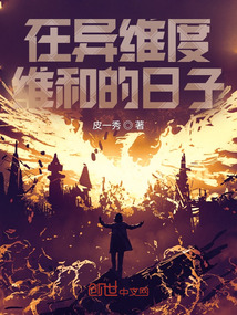 在異維度維和的日子
