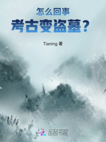怎么回事，考古變盜墓？