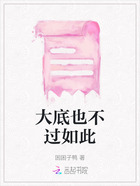 大底也不过如此在线阅读