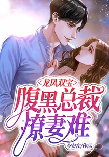 龍鳳雙寶：腹黑總裁撩妻難