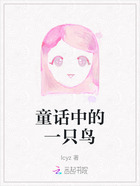 童话中的一只鸟在线阅读