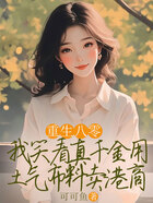 重生八零,我笑看真千金用土气布料卖港商在线阅读