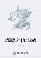 炼魔之仇恨录