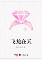 飞龙在天在线阅读